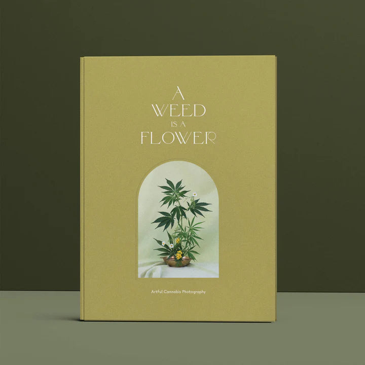 NOTEBOOKS