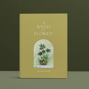 NOTEBOOKS