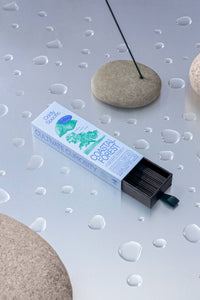Oddly Specific - Low Smoke Incense, Made in Japan, Natural | Coastal Forest