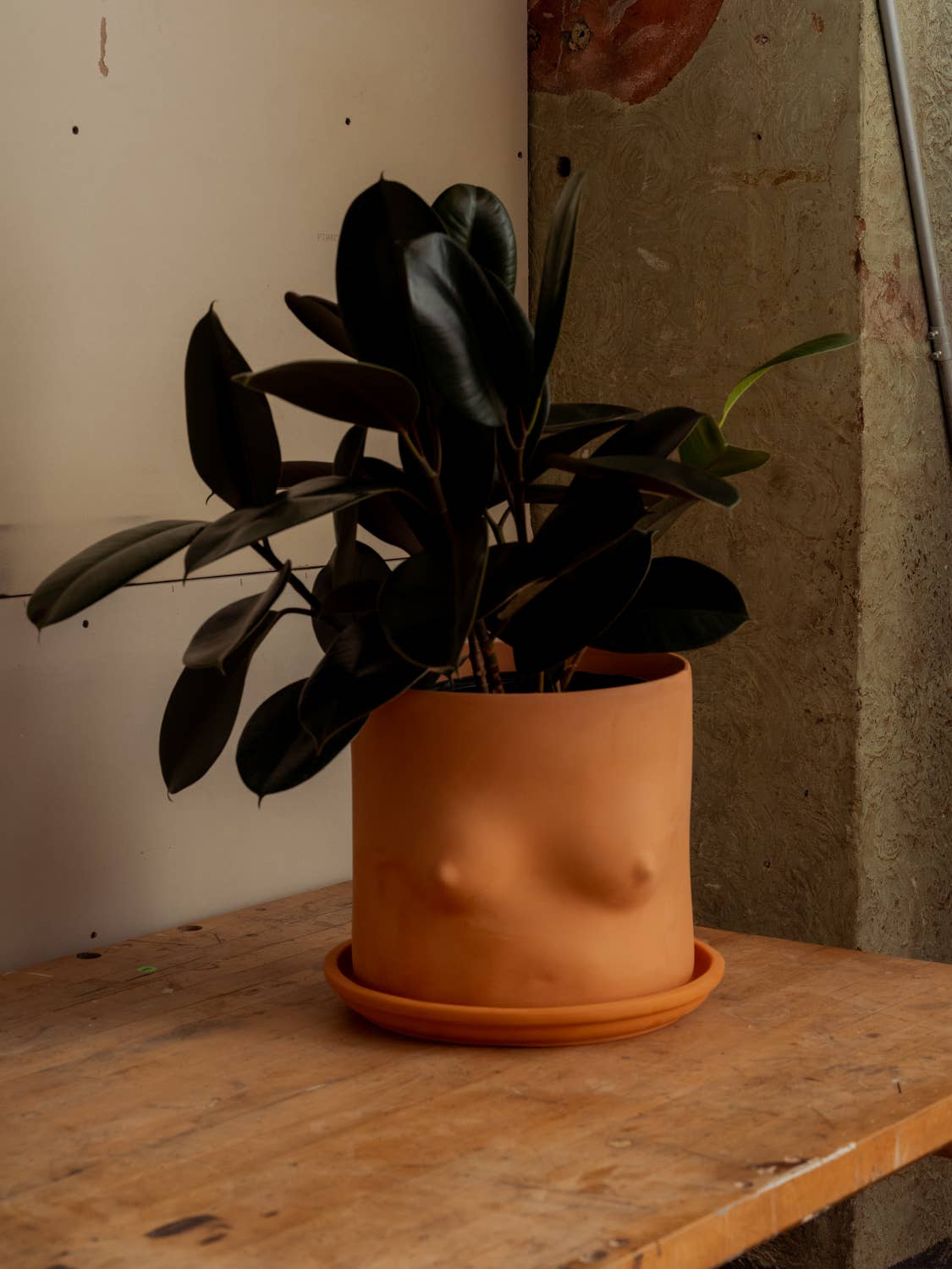 8" TERRA COTTA BOOB POT
