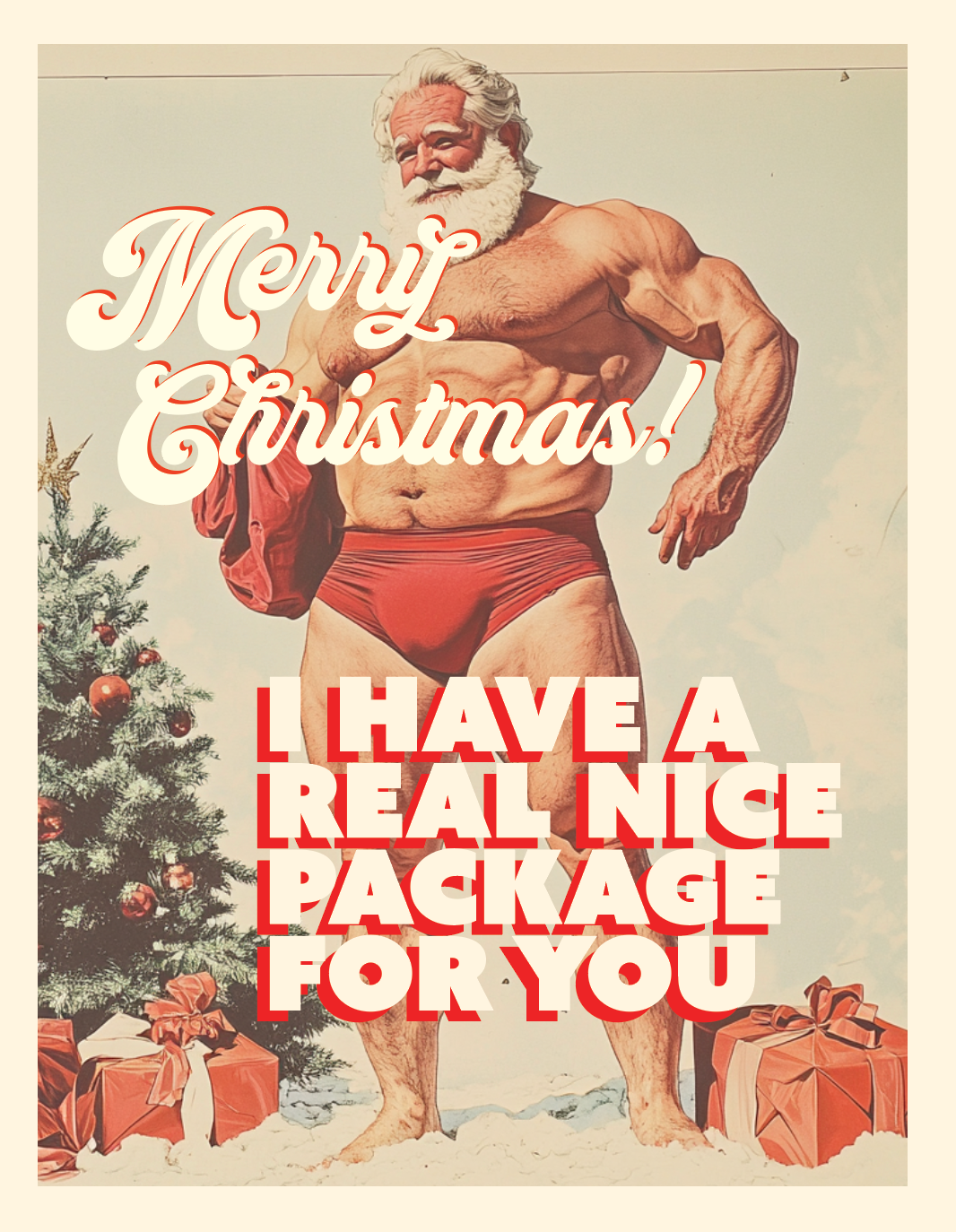 NICE PACKAGE! christmas card
