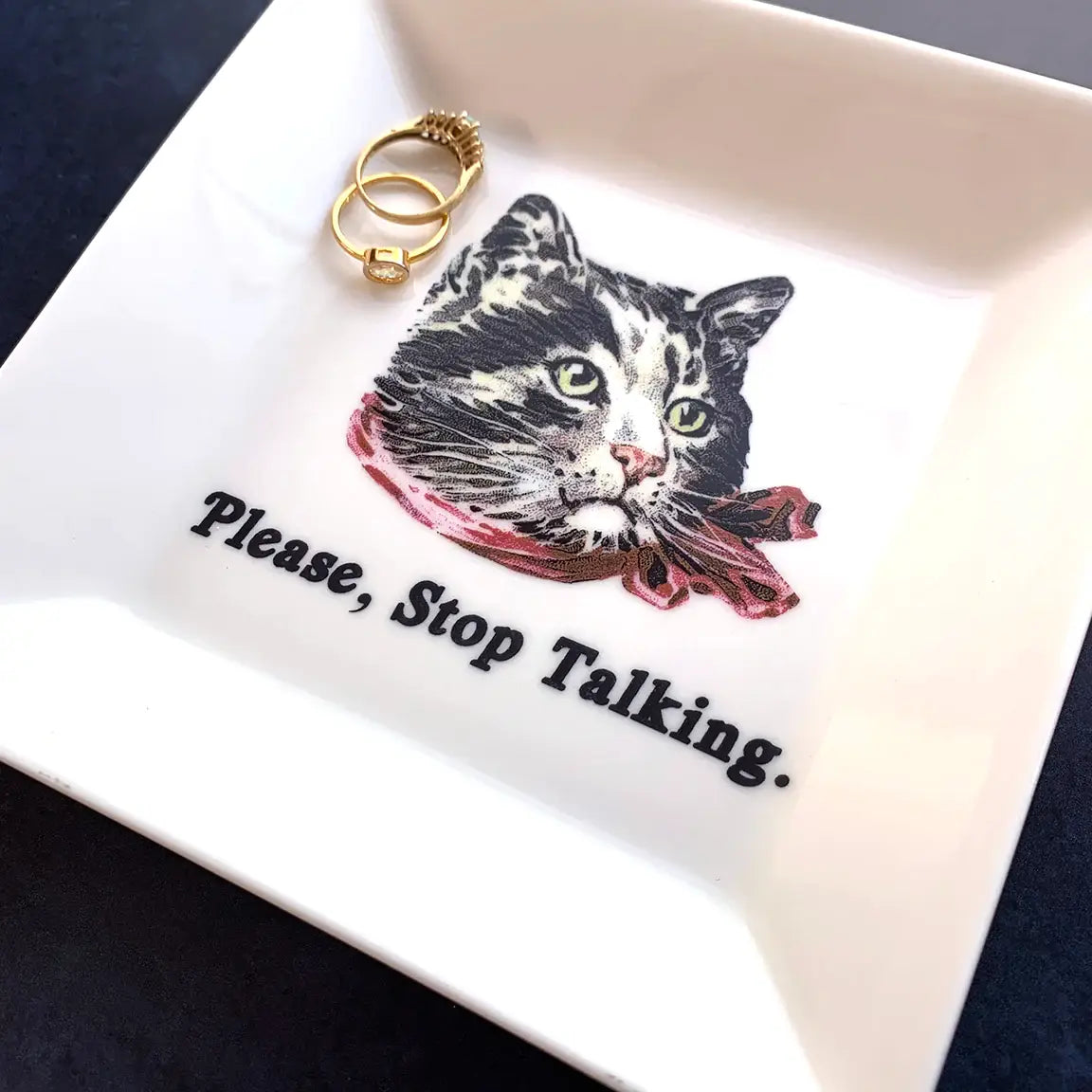 CAT TRINKET TRAY - "PLEASE, STOP TALKING"