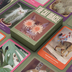 THE CAT ORACLE: 33 CARD DECK & GUIDEBOOK