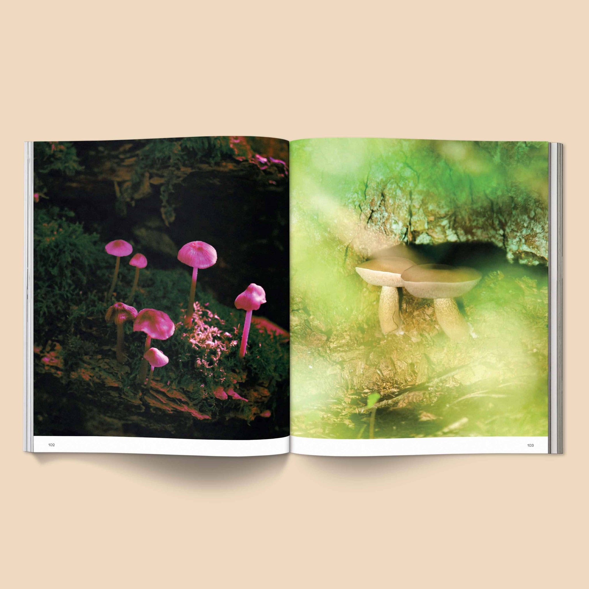 Broccoli - Spores: Magical Mushroom Photography Book