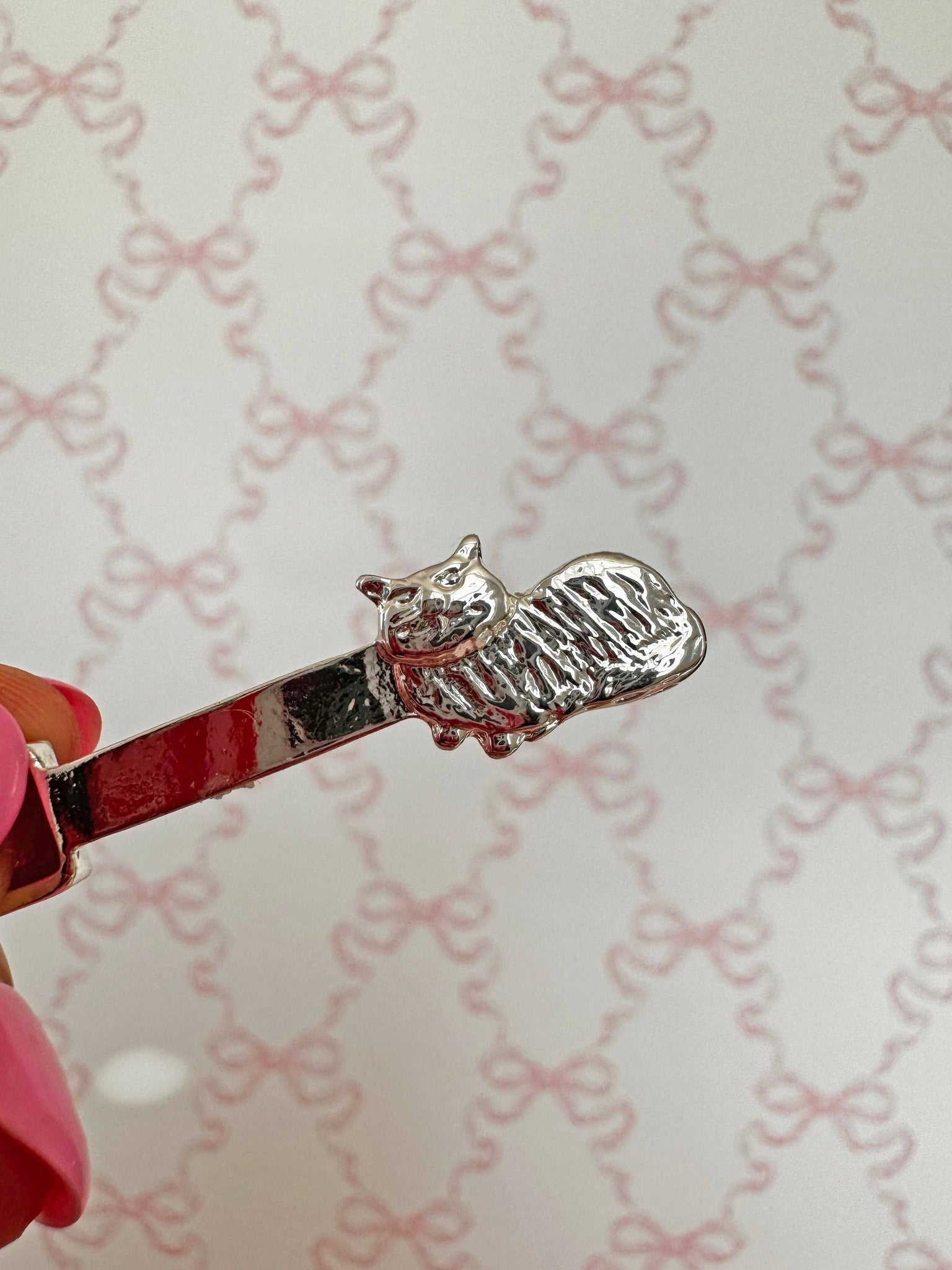 MISS KITTY SCOOP
