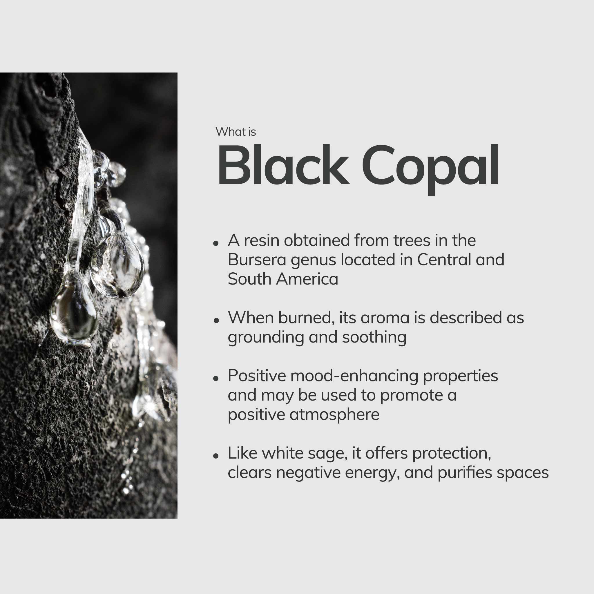 Cedar and Myrrh - Black Copal Hand-Rolled Incense Stick