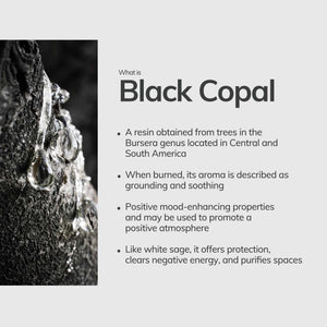Cedar and Myrrh - Black Copal Hand-Rolled Incense Stick