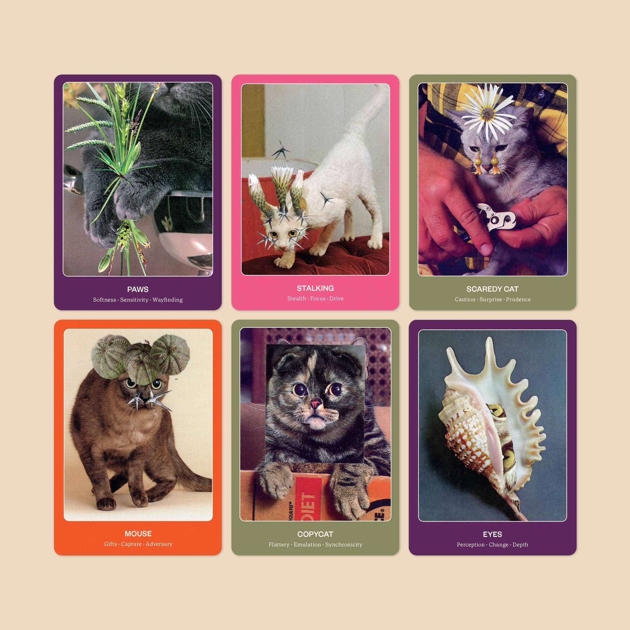 THE CAT ORACLE: 33 CARD DECK & GUIDEBOOK