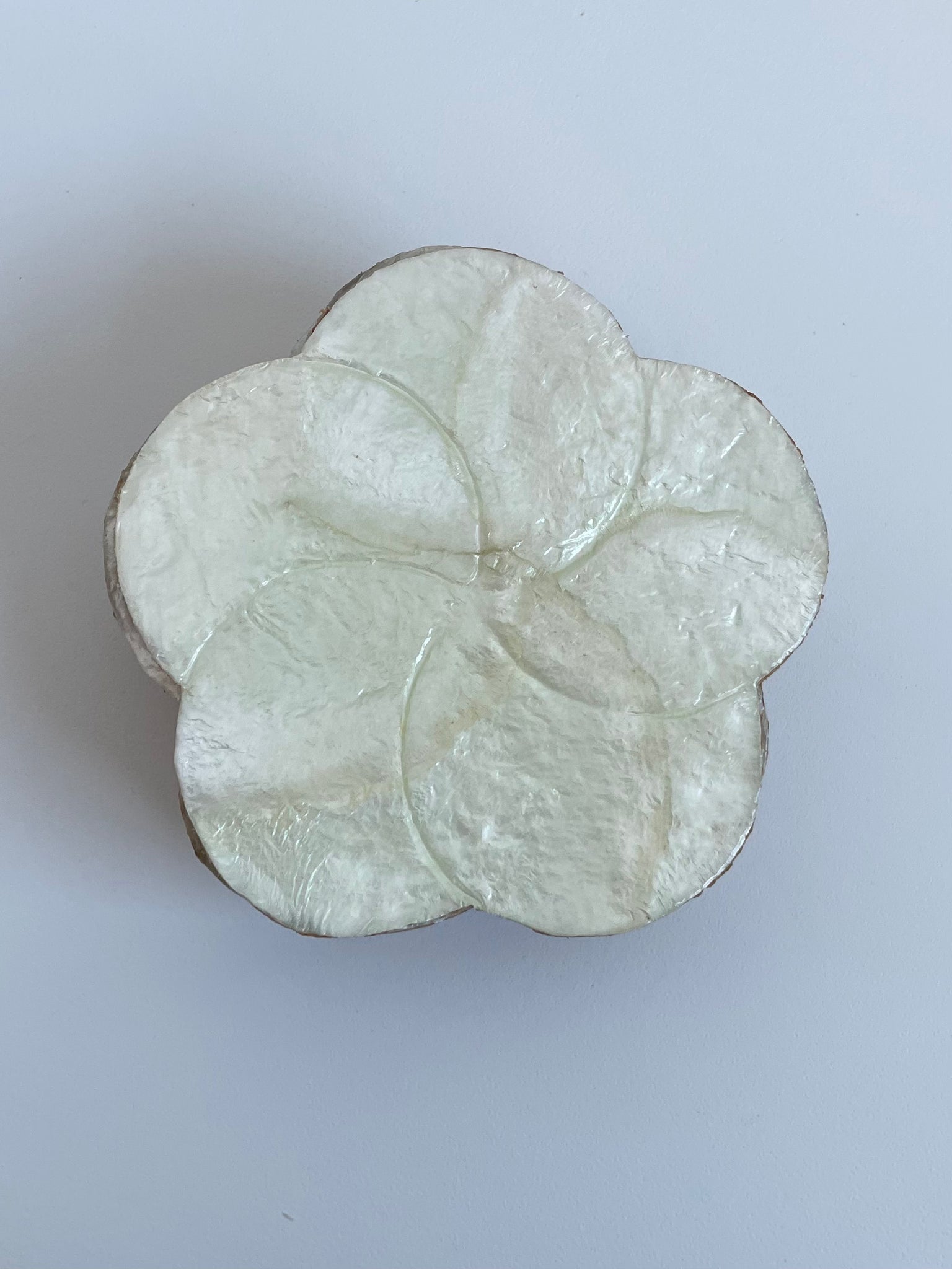 IRIDESCENT FLOWER COASTERS