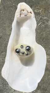 DISCO BUTTER RING