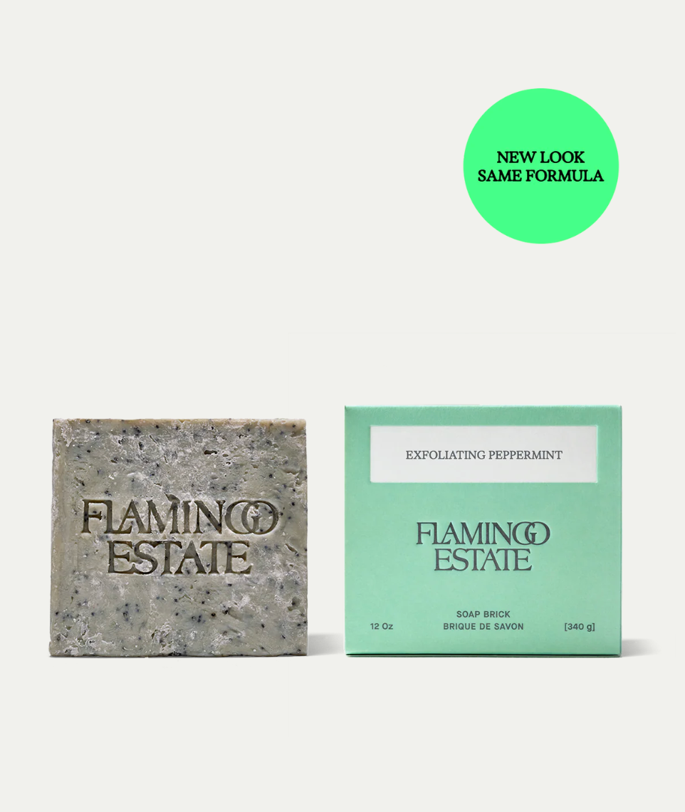 EXFOLIATING PEPPERINT SOAP BRICK