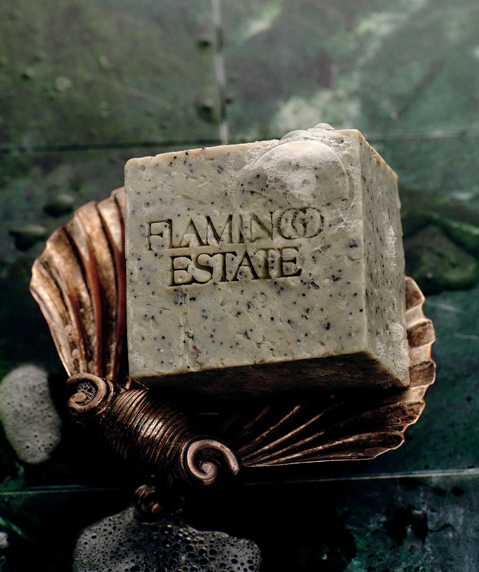 EXFOLIATING PEPPERINT SOAP BRICK