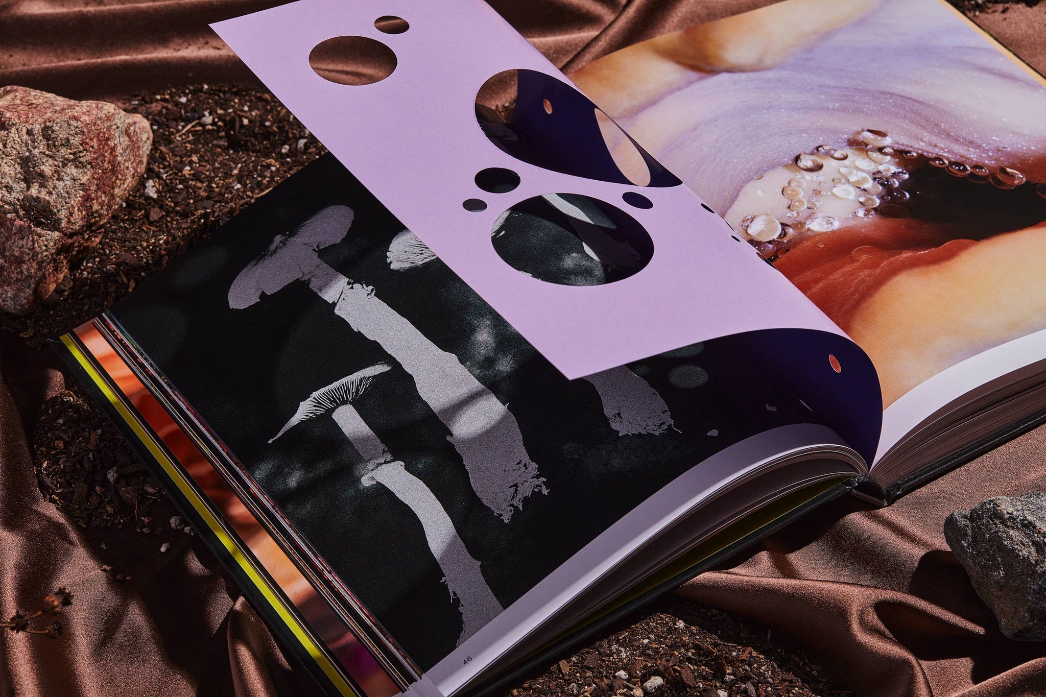 Broccoli - Spores: Magical Mushroom Photography Book