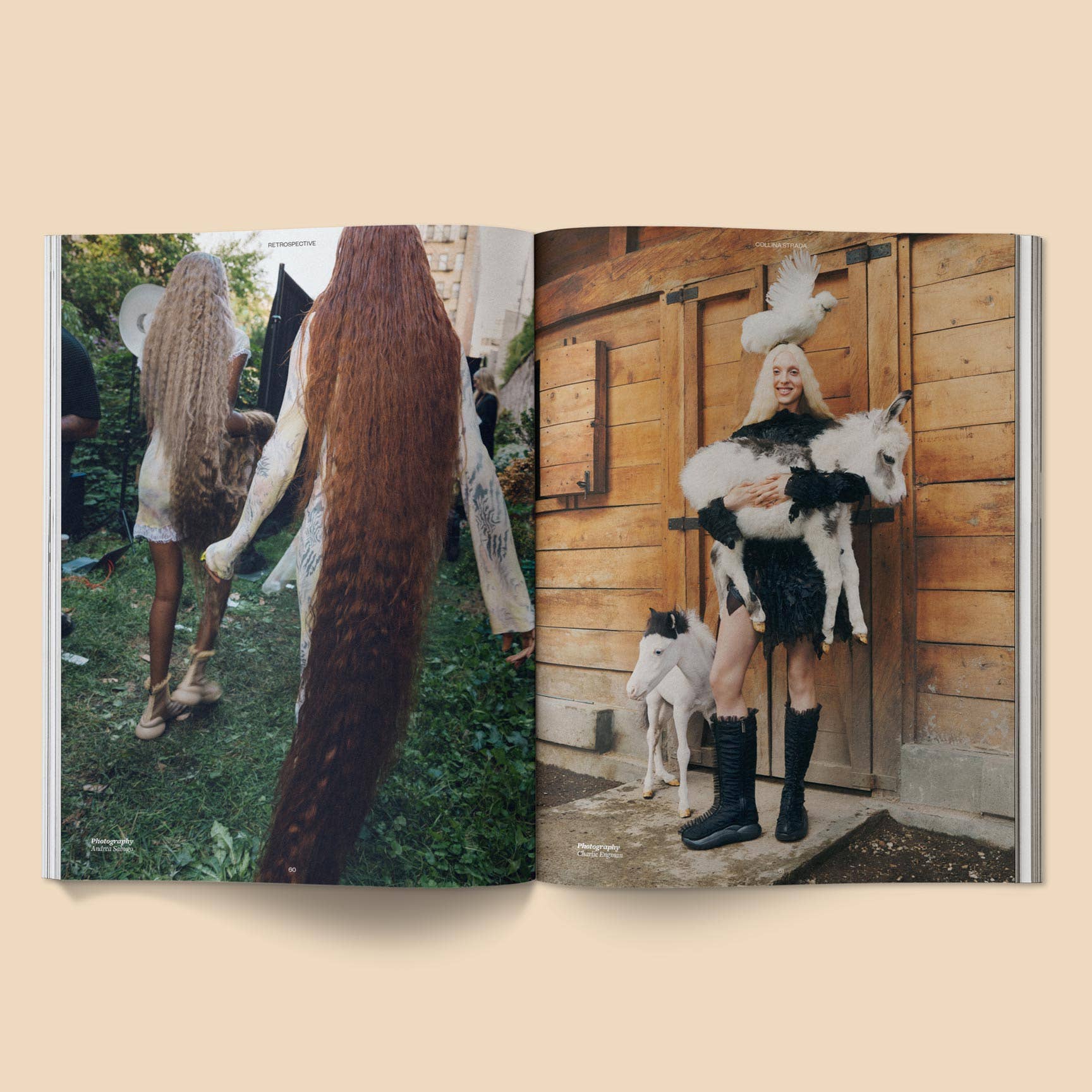 Broccoli - Calling All Horse Girls Magazine, Vol. 8: Steady