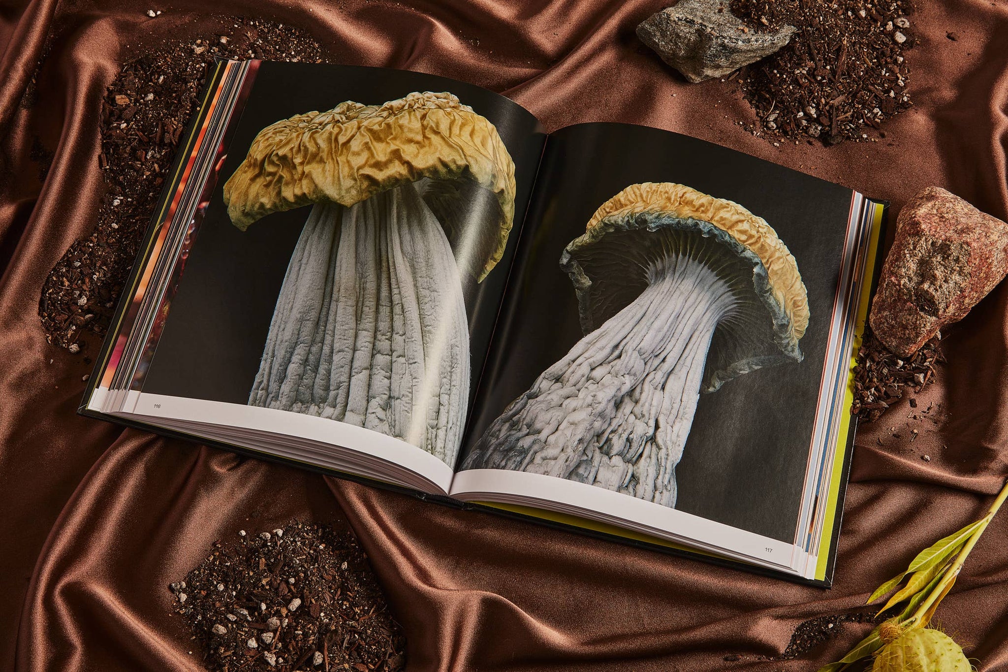 Broccoli - Spores: Magical Mushroom Photography Book
