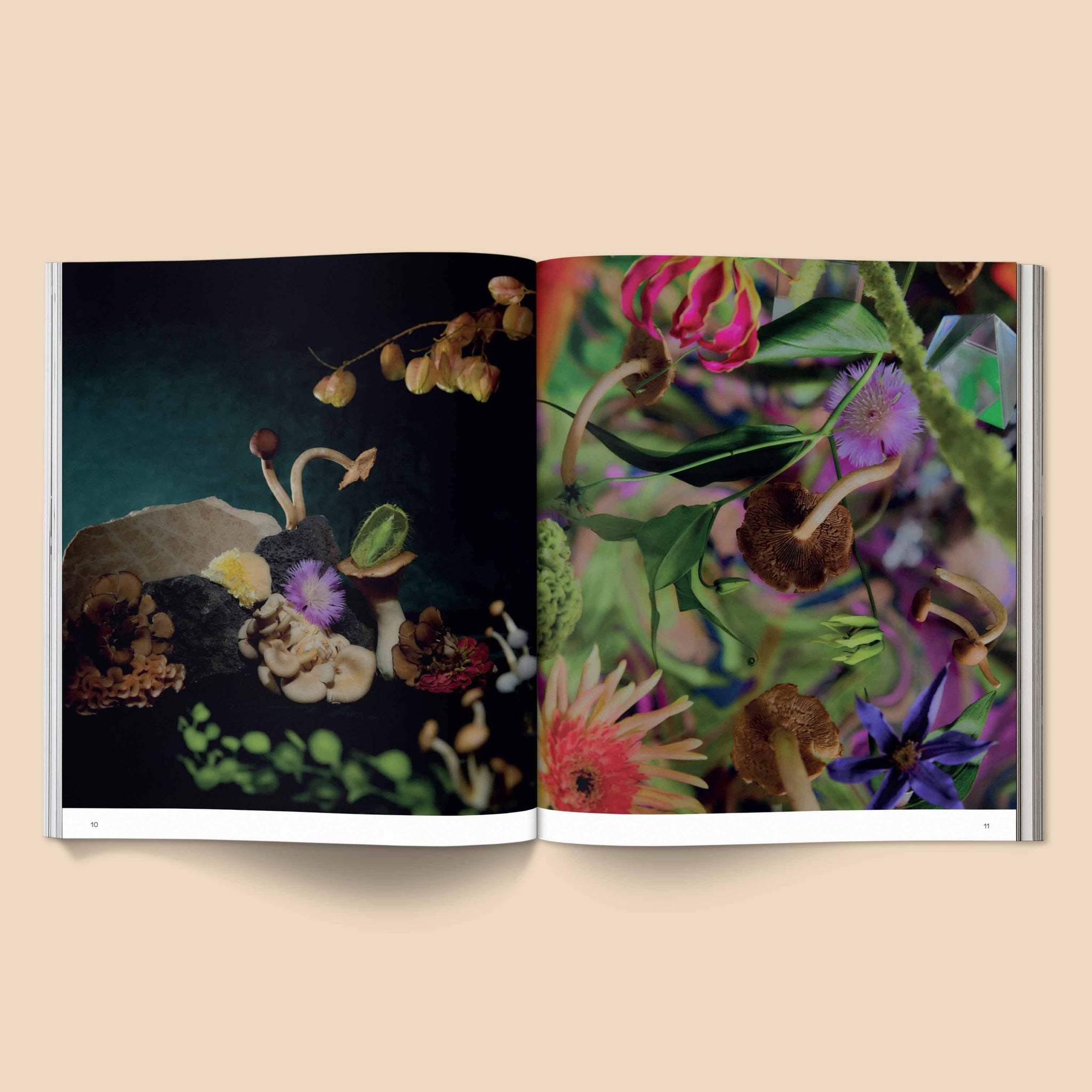 Broccoli - Spores: Magical Mushroom Photography Book