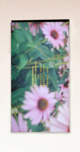 CASA BOSQUES - PINK PEPPERCORN DARK CHOCOLATE