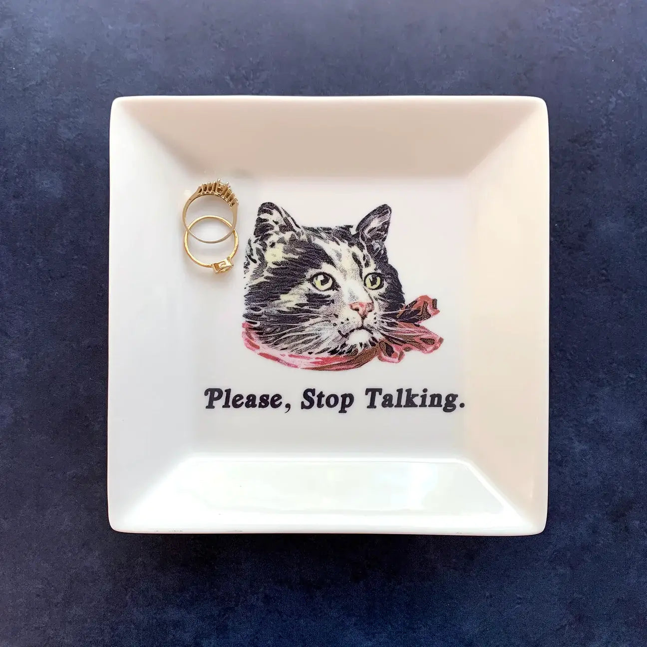 CAT TRINKET TRAY - "PLEASE, STOP TALKING"