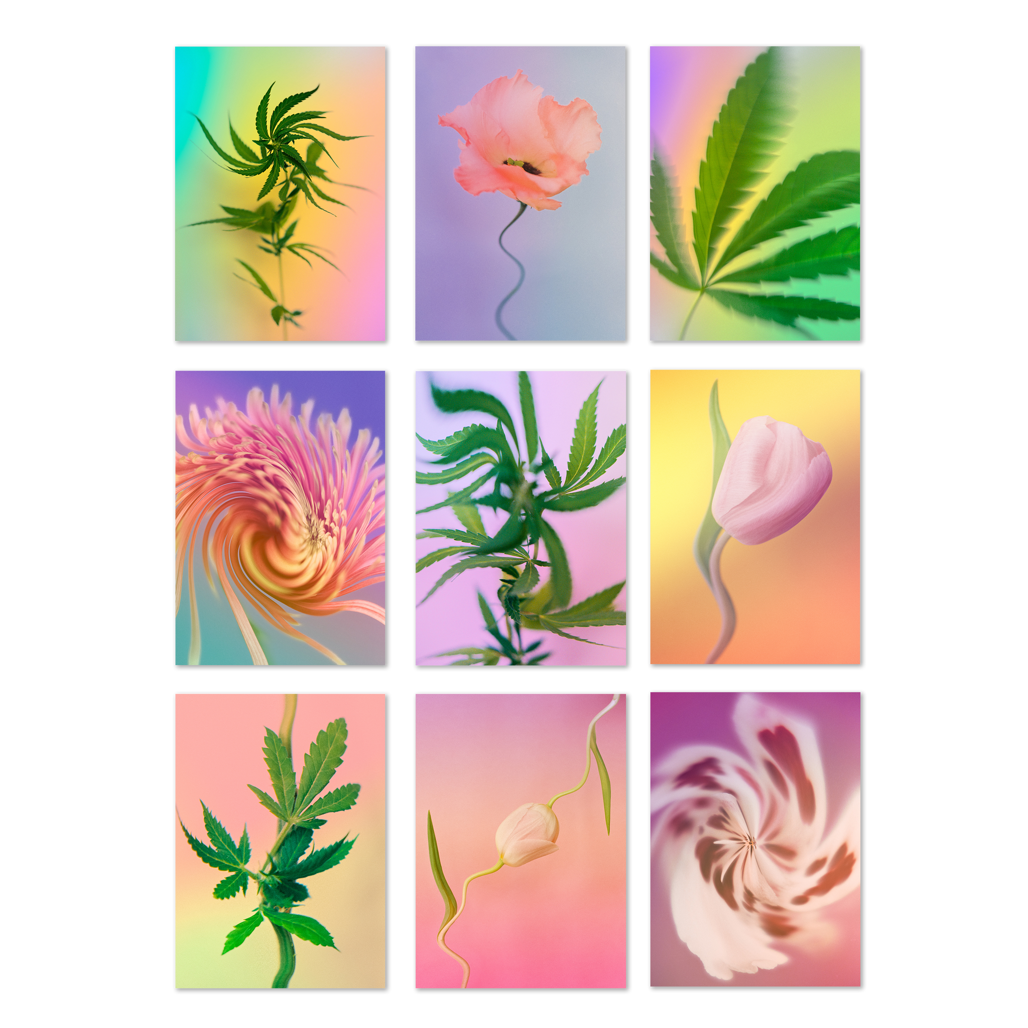 PSYCHEDELIC FLEURS POSTCARD PRINT SET BY BROCCOLI