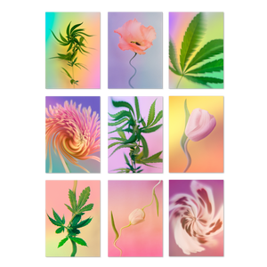 PSYCHEDELIC FLEURS POSTCARD PRINT SET BY BROCCOLI