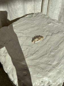 MOTHER OF PEARL CLIP