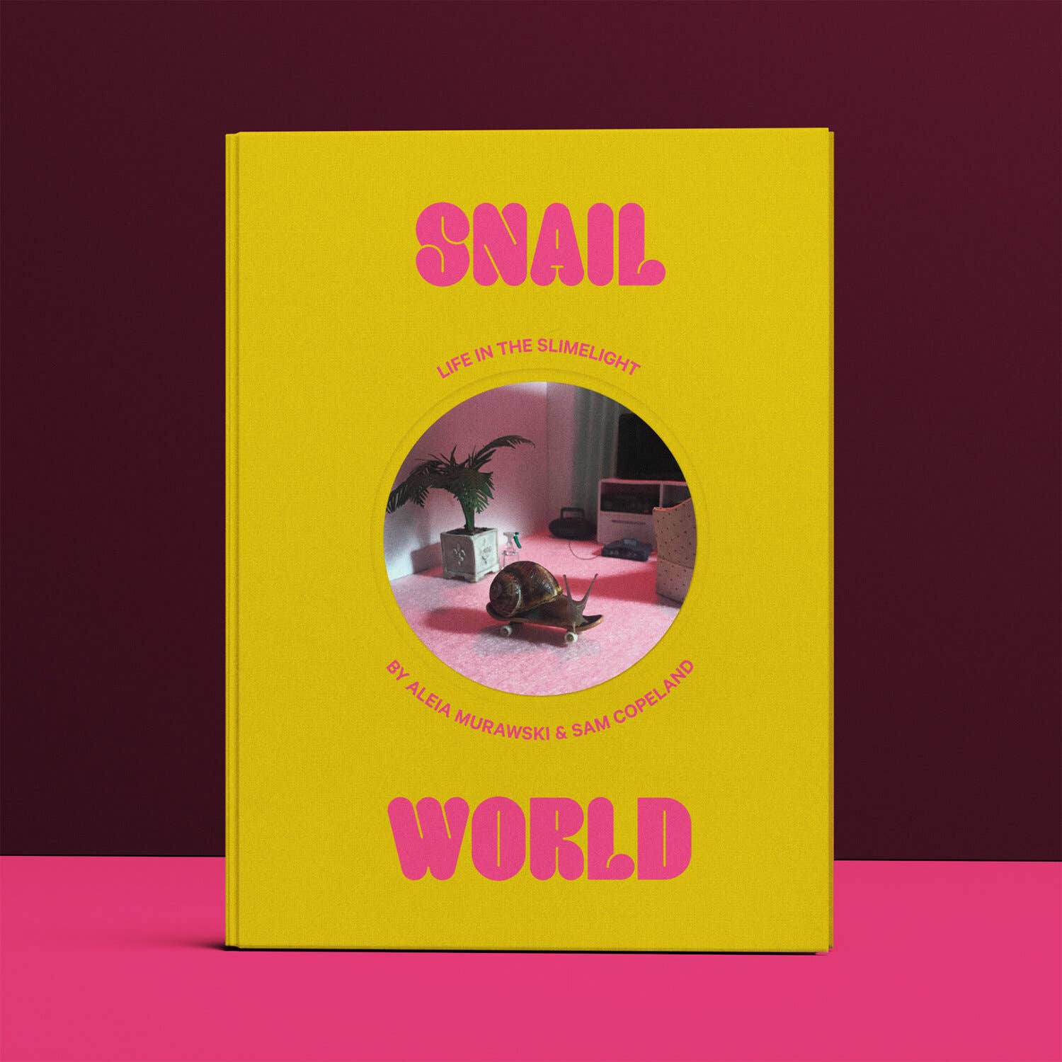 SNAIL WORLD: LIFE IN THE SLIMELIGHT BOOK
