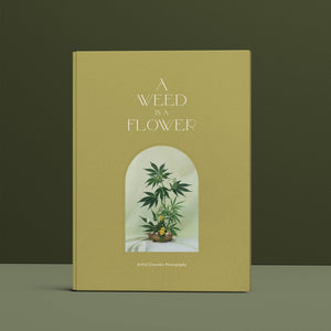 A WEED IS A FLOWER BOOK BY BROCCOLI